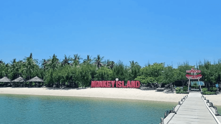 원숭이 섬